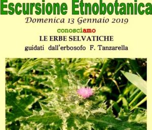 “ConosciAmo Le Erbe Selvatiche”. Escursione Etnobotanica a cura del CEA Manduria in collaborazione con Popularia e Pro Loco Manduria